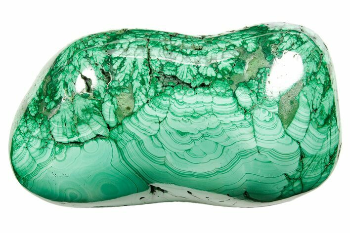 Flowery Polished Malachite Specimen - DR Congo #374480
